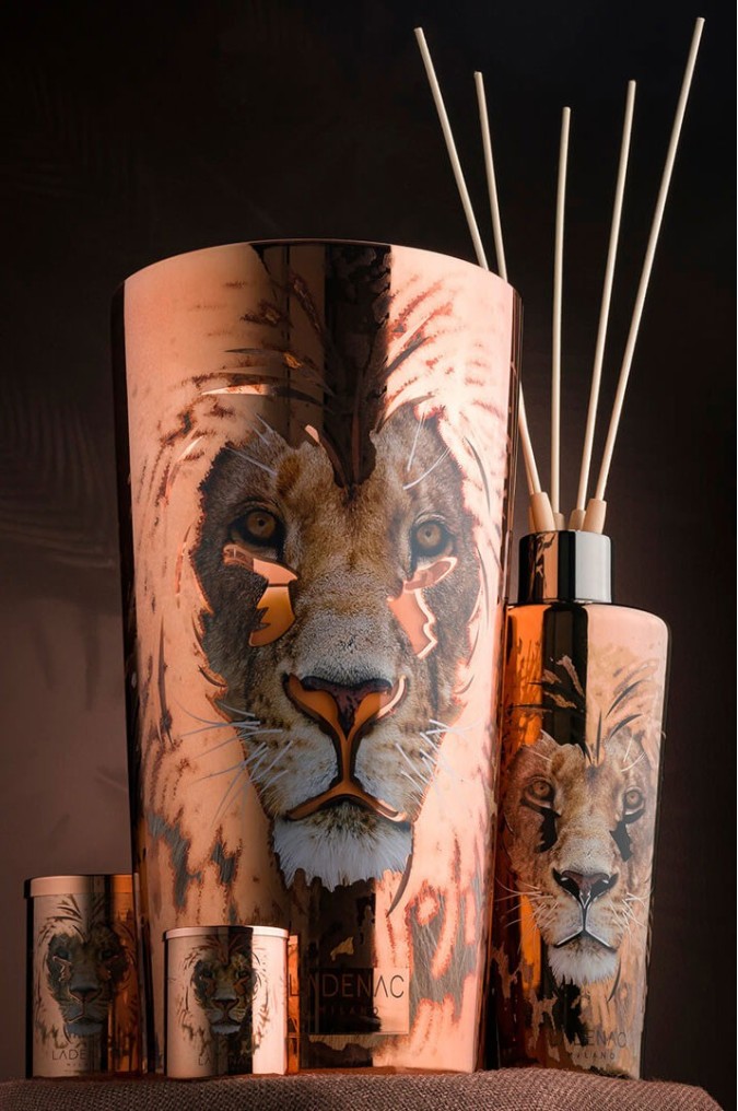 Œuf de África Dominator