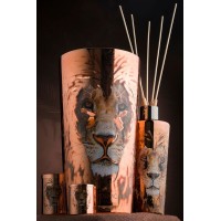 Œuf de África Dominator