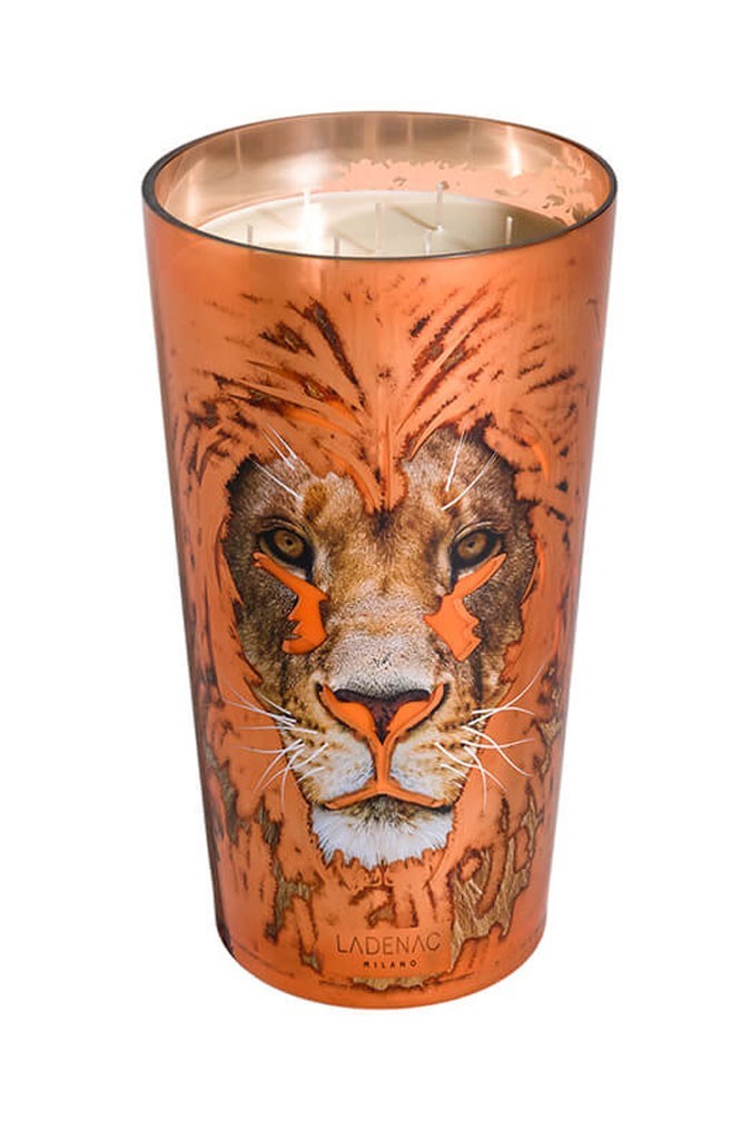 Bougie de luxe Dominator 8 kg